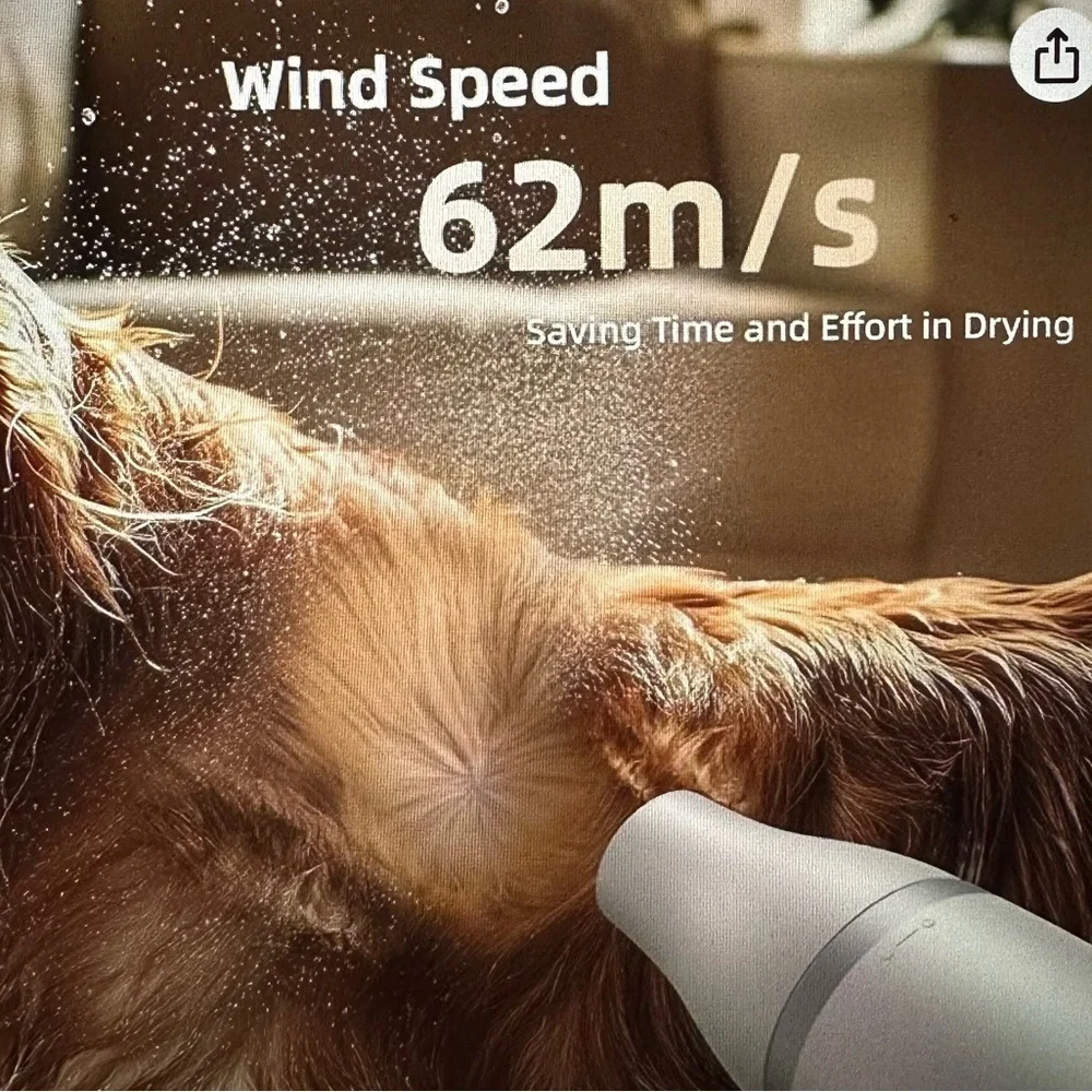 Blow dryer for pet grooming